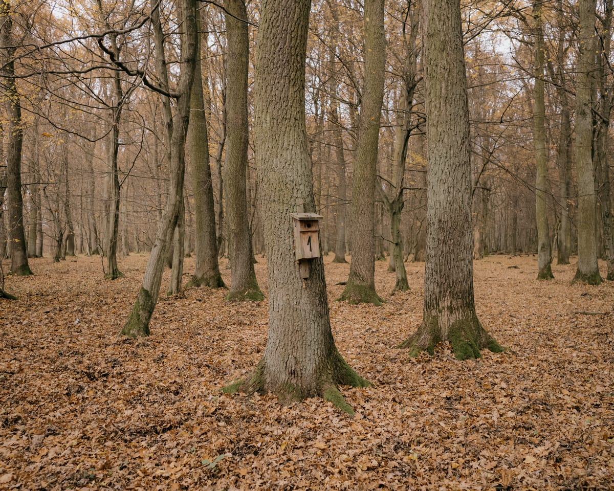 Saying Bye and Saying Hi!